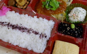 写真：骨なしブリ和風おろしあんかけ弁当